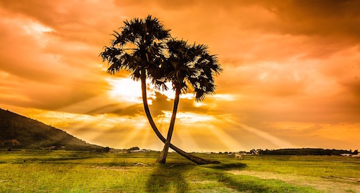 Africa Island Tropical